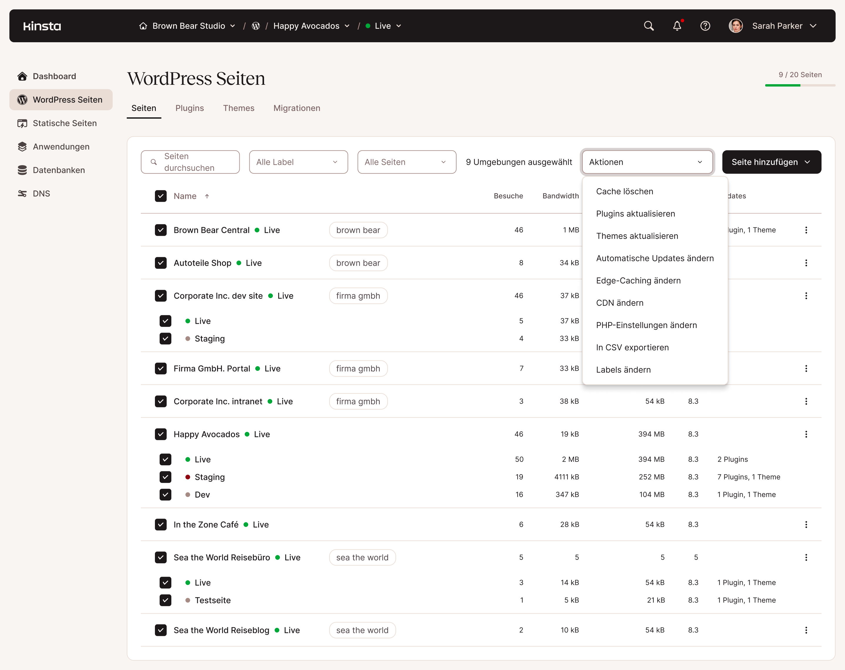 WordPress-Websites Verwaltung Massenaktionen