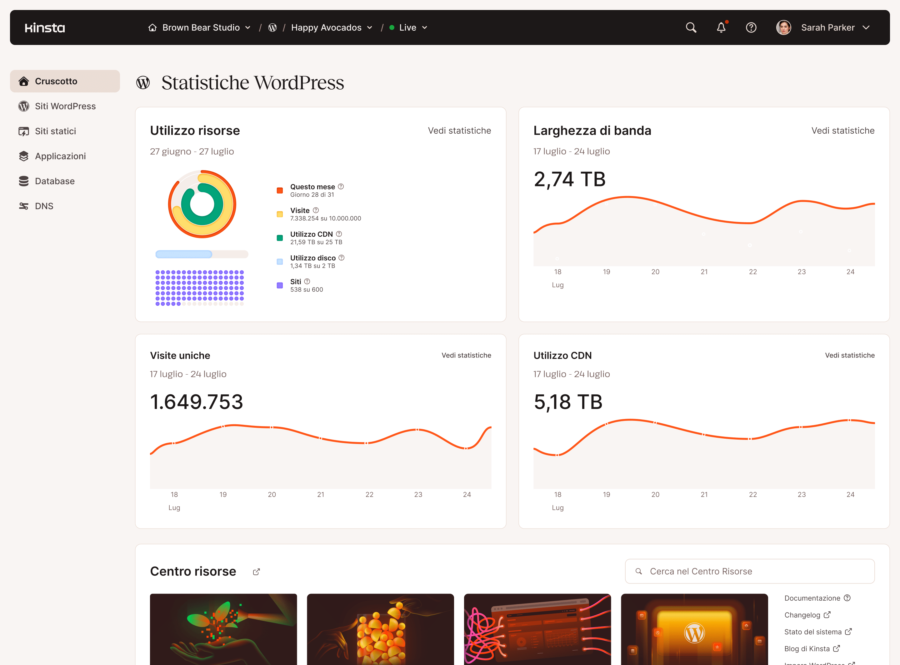 Pannello di controllo per l'analisi del server web con grafici e tabelle