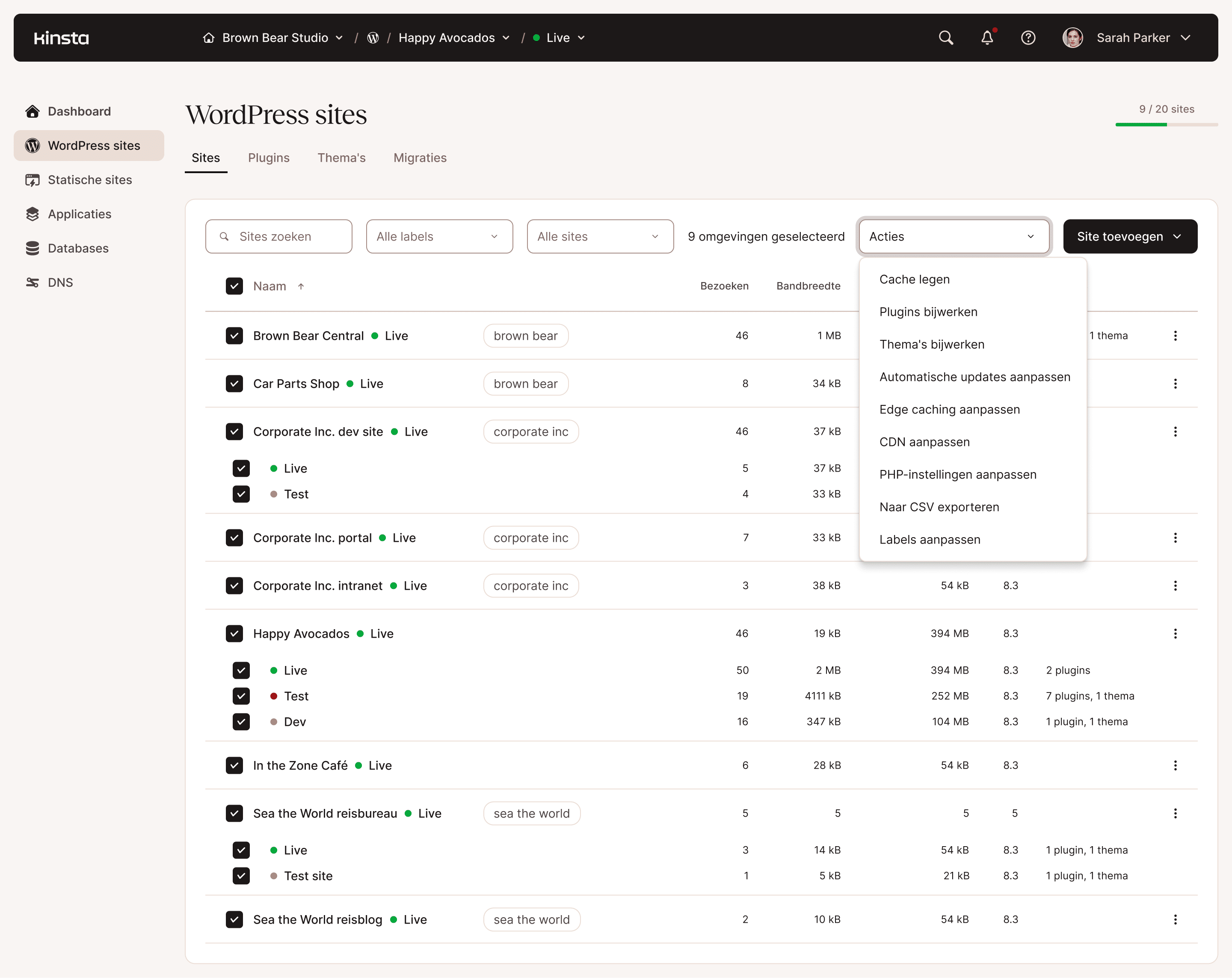 WordPress websites administratie bulk acties